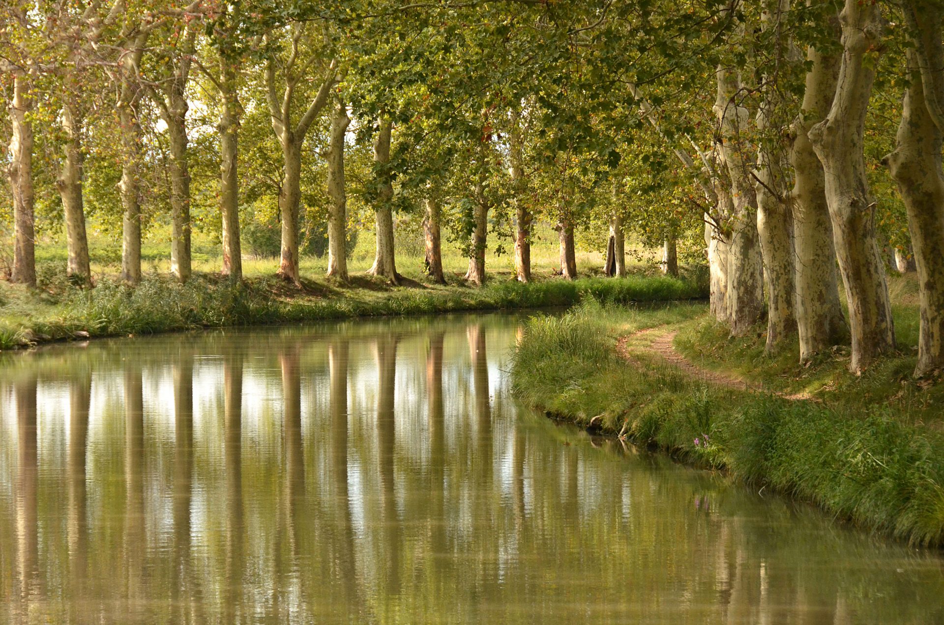 Le canal du Midi Ville de RevelSaintFerréol