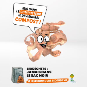 Image de pelure de patate qui indique qu'elle devient du compost lorsqu'elle est mise dans le composteur.